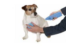 Horse & Pet Products